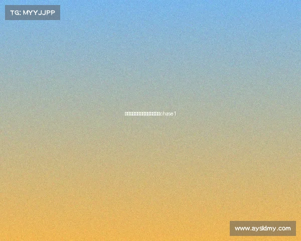 赛事公路自行车、公路自行车赛chase1